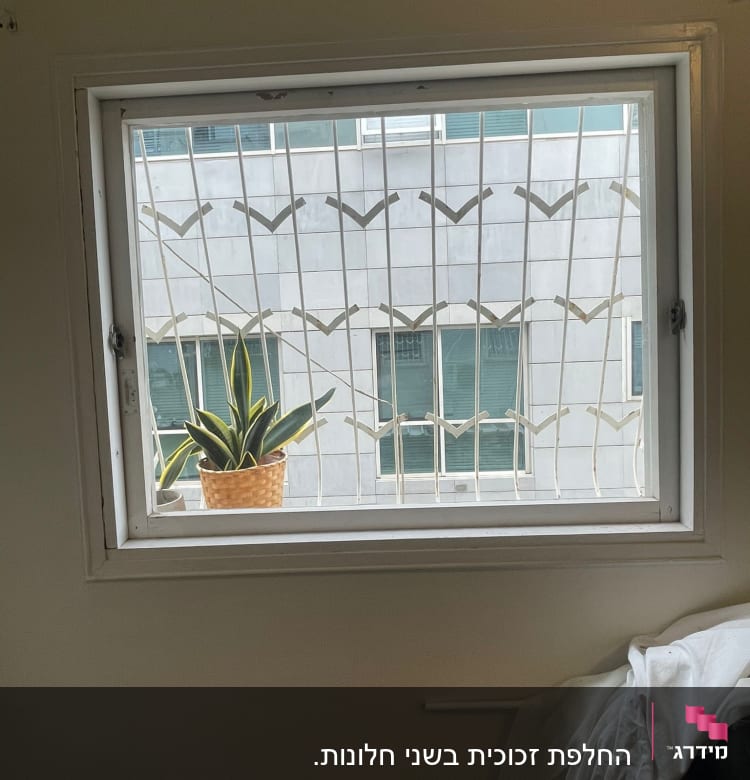 חלון עם סורגי מתכת וצמח בעציץ